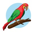 Vector bird illustration. Red parrot on a branch. exotic macaw Royalty Free Stock Photo